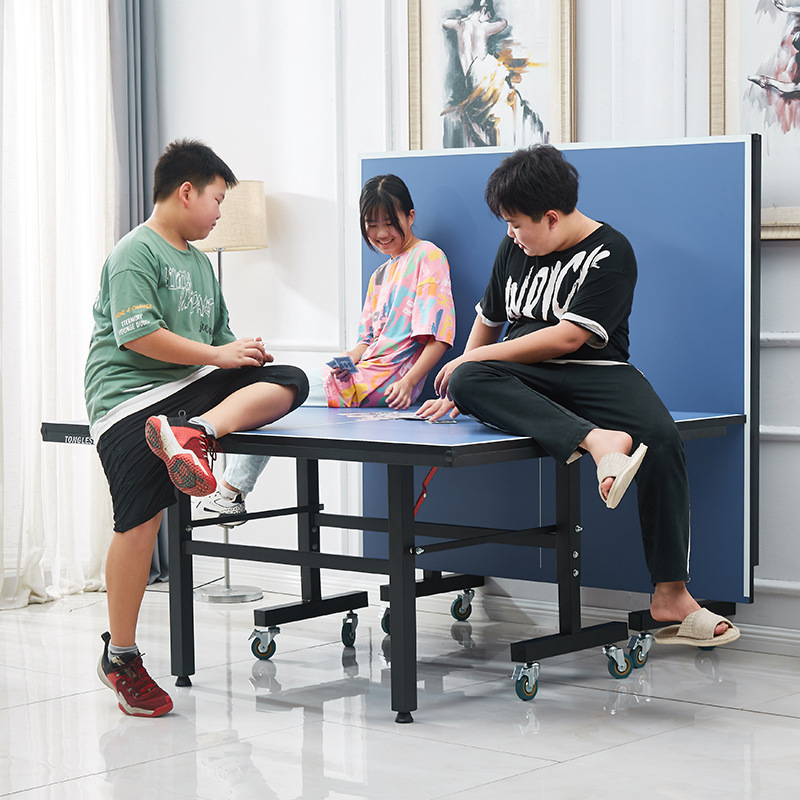 Table de tennis de table pliab - Table Tennis Folding Table avis et prix
